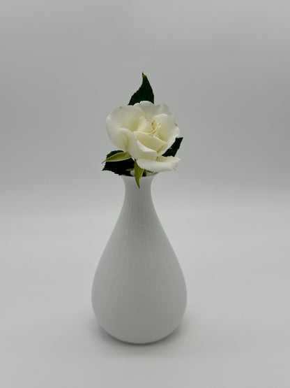 Cassia in white with Rose