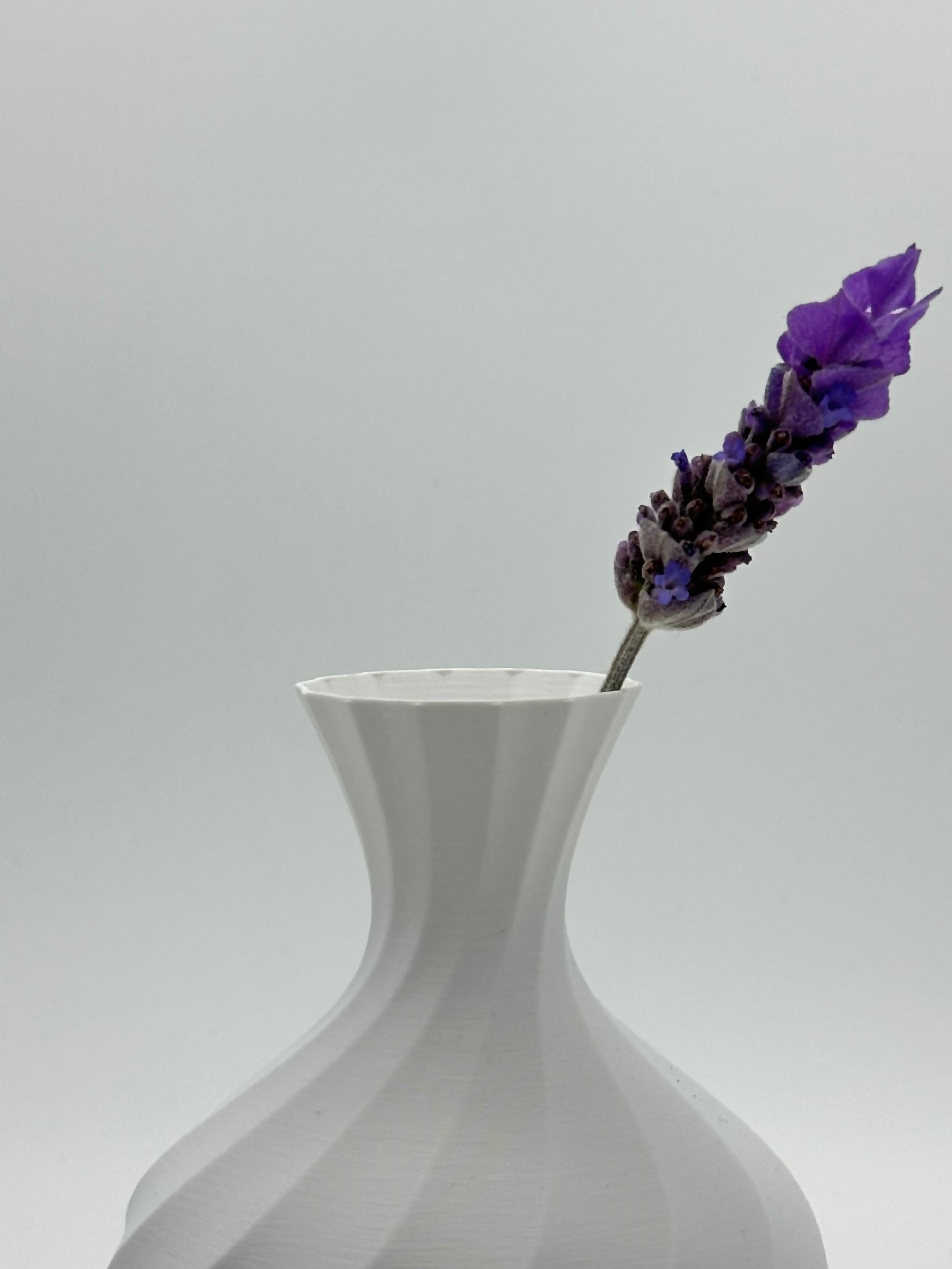 Cropped Dahlia with Lavender